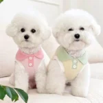 Fashion Pet Polo Shirt Spring Summer Breathable Casual Dog Clothes Soft Skin-friendly Puppy Sweatshirt for Small Medium Breeds - Image 3
