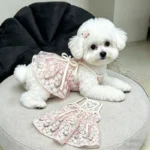 2026 Bichon Cherry Princess Skirt Anti shedding Small Dog Clothes Yorkshire Breathable Strap Popular Teddy Skirt - Image 3