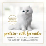 Purina Kitten Food, Wet Cat Food, Classic Pate Collection with Milk, 3 oz Cans - Image 3