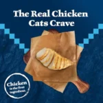 Blue Buffalo Wilderness Chicken Natural High-Protein Grain-Free Dry Food for Adult Indoor Cats, Real Chicken First, Antioxidant - Image 3