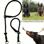 Polyester Fiber Dog Training Leash with Adjustable Slip Collar - Durable Choke Loop for Behavioral Training, Non-Asphyxiation Co - Image 2