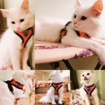 Summer Cat Dog Harness Lead Leash Adjustable Vest Polyester Mesh Breathable Harnesses Reflective for Small Dog Cat Lesah - Image 2