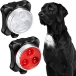 Pet Dog Led Light Lamp Tag Led Dog Collar Light Pendant Glow Night Safety Led Dogs Flashlight For Collar Harness Leash - Image 3