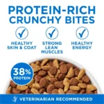 Plus Natural High Protein Dry Cat Food Salmon and Ocean Whitefish Skin and Coat Health Formula, 7 lb Bag - Image 6