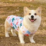 Cooling Summer Pet Dog Vest Cartoon Soft Cat Clothing Summer Casual Shirts Small Medium Large Dogs Puppy French Bulldog Clothes - Image 3