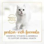 24 pack Purina Gravy Lovers Wet Cat Food, Chicken Heart and Liver in Gravy, 3 oz Can - Image 4