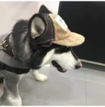 Dog Hat Dog Sunscreen Hat Baseball Cap Outdoor Sports Hat with Ear Holes Adjustable Pet Hat for Small and Medium Dog Large Dogs - Image 3