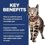 Adult Perfect Weight Dry Cat Food, Chicken, 7 lb. Bag - Image 4