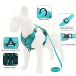 No Pull Dog Harness and Leash Set Adjustable Pet Harness Vest for Small Dogs Cats Reflective Dog Chest Strap Lead Walking - Image 3