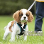 1pc Personalized Dog Collar Velvet, Engraving Custom Name Phone Number ID Tag, Soft Comfy Adjustable Collars For Small Medium La - Image 5