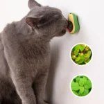 Natural Catnip Healthy Pet Cat Toy Wall Stick-on Ball Cats Teeth Cleaning Catnip Ball Toys Cat Snacks Kitten Cat Catnip Toy - Image 6