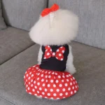 CuteBone Dog Mesh Dress Puppy Sundress Pet Outfit Summer Fashion for Small Dogs Girl Dog Dress Fashion Pet Clothes - Image 4