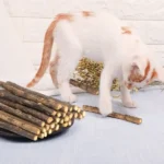 Catnip Silvervine Chew Sticks for Cats Natural Teeth Molar Toys, Anxiety Relief Dental Care Chewing Gifts Cat Toys - Image 2