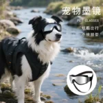 Dog Sunglasses Soft Adjustable UV Protection Pet Goggles Easy Wear Puppy Glasses For Small Medium Breed Outdoor Riding Driving - Image 5