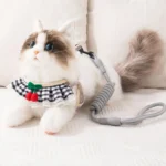 Dog Leash Cute Harness Cat Leash Teddy Small Dog Leash Pet Supplies Dog Leash - Image 3