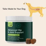 Advanced Dog Hip and Joint Supplement with Glucosamine, Omega 3 & MSM - 60 Pork Flavored Chews for Small and Medium Dog Breeds