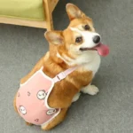 Adjustable French Bulldog Pet Shoulder Strap Physiological Pants Washable Female Dog Underwear Safety Trousers mascotas Shorts - Image 5