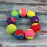1/2pc Hard Ball Pet Biting Ball Training for Grinding Teeth Tennis Suitable for Pets to Play with Small Dogs Pet Supplies TMZ - Image 4