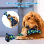 Knot Dog Toys Indestructible Durable Dog Chew Toys Tug of War Interactive Toys Suitable for Medium and Large Dogs Pet Supplies - Image 3