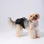 Washable Female Dog Diaper Adjustable Pet Physiological Pant Reusable Leakproof Pets Panties Diapers for Small Medium Large Dogs - Image 6