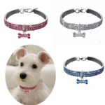 Puppy Neck Collar for Dogs Collar Rhinestone Jewelry Chihuahua Crystal Jewelry Adjustable Engraved Text Dog Collar GXQ08 - Image 5