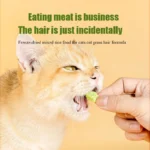 Cat grass freeze-dried meat square particles cat snacks ready-to-eat hair removal hair ball tablets into kitten food - Image 3