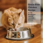 12 pack chicken canned cat food with limited ingredients 5.5 oz - Image 5