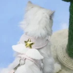 Angel Wing Cat Harness and Leash Set, Adjustable Kitten Vest Harness for Walking, Escape-Proof Soft Mesh Breathable also Puppy - Image 3
