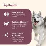High protein beef potato and peas dry dog food with venison lamb 12 lb bag - Image 4