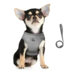 Pet Cat Leash Set, Adjustable Reflective Anti-Escape Pet Harness Vest, Small Dog Collar, Puppy Cat Pet Supplies - Image 4