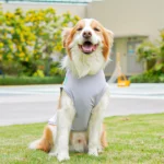 Cute Mesh Vest Pet Clothes 2026 New Ice Silk Cooling Puppy Vest Quick Drying Summer Pet Costume Large Size Splicing Clothes - Image 3