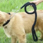 Large Dog Leash Nylon Braided Traction Rope Pet Walking Thick Hand Rope For Bulldog Rottweiler Hound Dogs Accessories - Image 3