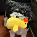 A 7-piece set of puppy sound toys, loose plush pet chewing, plush fruit snacks and vegetable puppy toys, suitable for pet play - Image 2