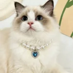 Princess Style Pet Pearl Collar for Dogs Cats - Cute Jewelry Accessory for Puppy Kitten Chihuahua Perfect Wedding Gift