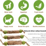 1pc Cat Cleaning Teeth Pure Natural Catnip Cat Molar Toothpaste Stick Silvervine Actinidia Fruit Matatabi Cat Snack Stick - Image 4
