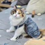 Cool Dog Jean Jacket Vest with D-Ring Hoodies for Small Medium Dogs, Spring Dog Clothes Puppy Denim Harness Coat for Walking - Image 5