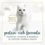 Purina Gravy Lovers Kitten Food, Wet Cat Food, Tuna Feast in Gravy, 3 oz Cans, 24 Pack - Image 4