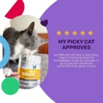 "" Feed Meow Wet Cat Food, Boost Formula with Chicken, Complete and Balanced Meal, 3oz Pouch - Image 5