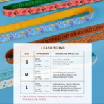 Valentine's Day and New Year Gifts for Dog Lovely Pet Traction Rope Double-Sided Printing Pet Dog And Cat - Image 2