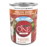 Natural wet dog food with high protein lamb and brown rice in 13 oz can