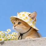 Summer Cat Dog Sunscreen Hat with Printed Checkered Pet Fisherman Hat Suitable for Cats Small Medium-sized Dogs Outdoor Supplies - Image 6