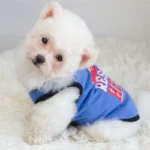 Summer Cotton Pet Vest for Small Dogs Cats Letter Print Dog T-shirts Puppy Clothing - Image 5