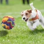 Dog Sniffing Ball Puzzle Toys Increase IQ Slow Dispensing Feeder Foldable Dog Nose Sniff Toy Pet Training Games Intelligence Toy - Image 2