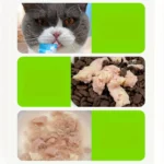 10.58oz(300g) Cat Stick, Chicken Flavor, Skipjack & Rabbit Flavor, Tunna & Fish Seed Flavor, Salmon & Fish Oil Flavor - Image 4