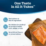 Tastefuls Irresistible Gravy Indoor Adult Dry Cat Food, Salmon, 5lb Bag - Image 6