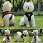 Breathable Mesh Cat Small Dog Harness And Leash Kitten Cats Harnesses Little Dog Puppy Harness For French Bulldog Chihuahua Pug - Image 3