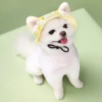 Pet Dogs Bucket Hat With Ear Holes Sunproof Baseball For Large Medium Small Dogs Summer Dog Sun Hat Outdoor Hiking Hat - Image 6