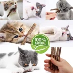 Teeth Molar Silvervine Sticks for Cats Natural Catnip Chew Toys, Safe Non Toxic Dental Cleaning Chewing Gifts for Kitten Lovers - Image 5