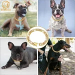 Dog Chain Collar Luxury Gold Pet Metal Chain Collar For Small Medium Large Dogs Cats Pet Jewelry Necklace Accessorie - Image 4