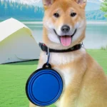 Dog Folding Bowl Portable Dog Travel Bowl Dog Food Water Bowl for Outdoor Walking with Carabiner Food Water Container - Image 3